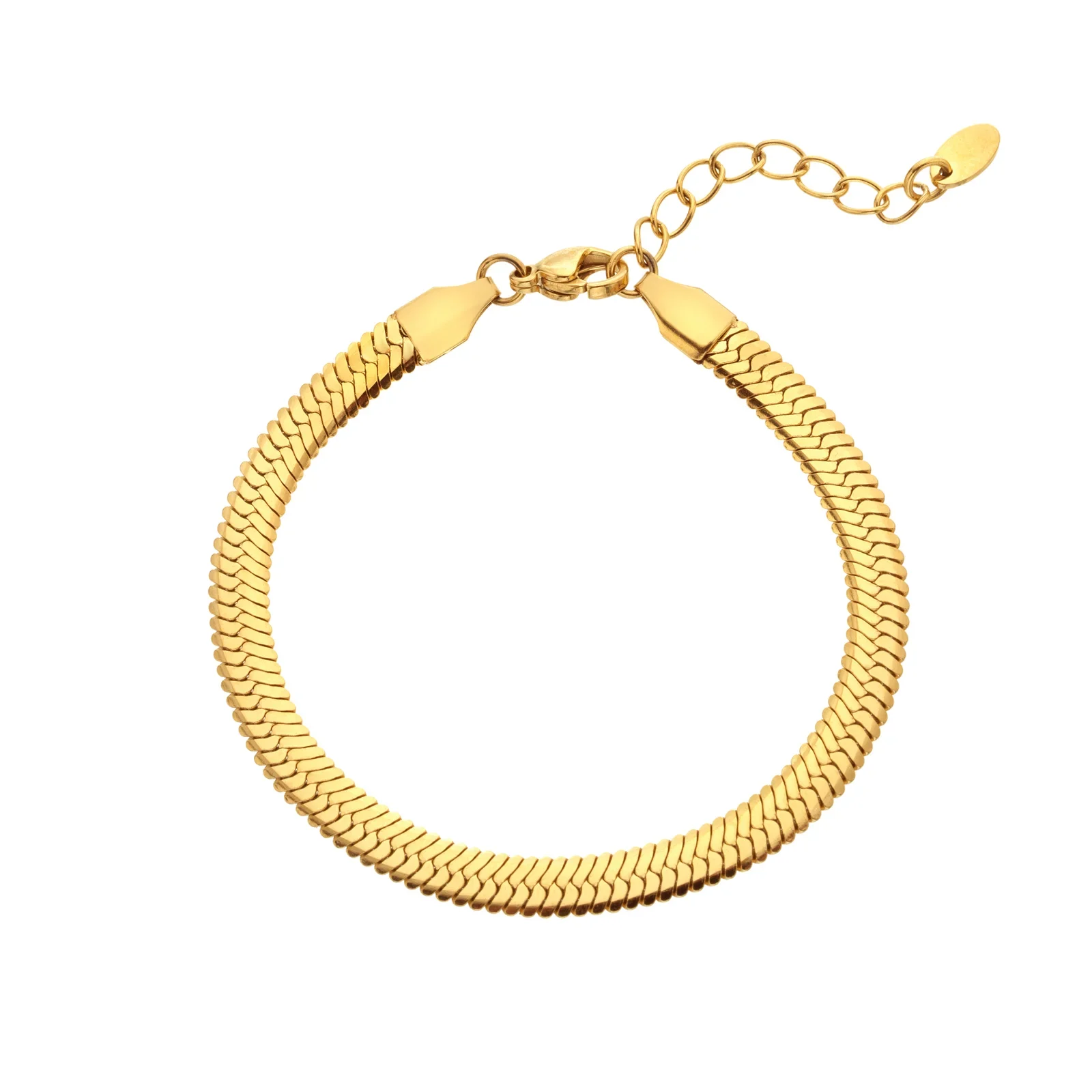 Ava & Sky Snake Waterproof Chain Bracelet