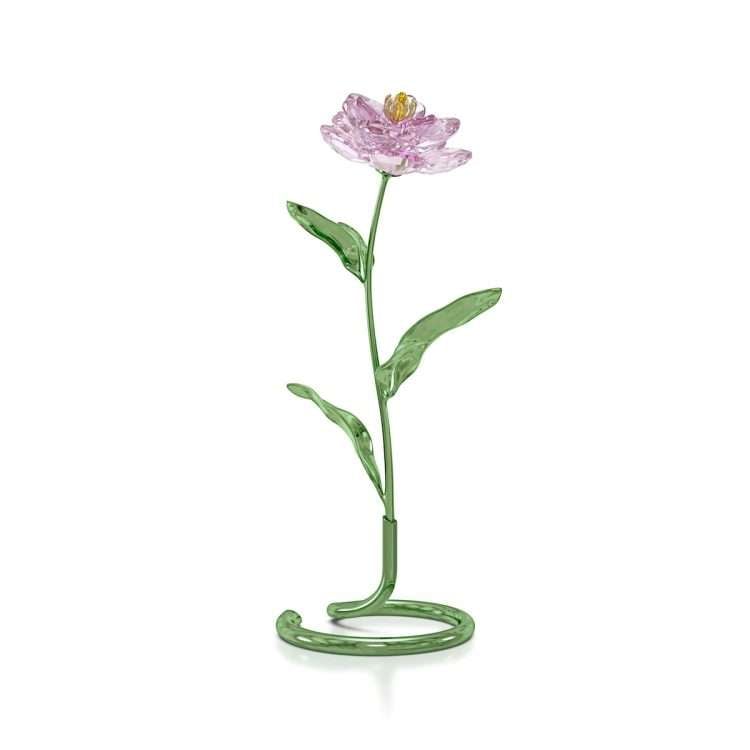 Swarovski Florere Peony
