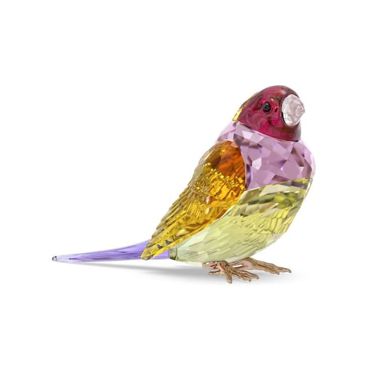 Swarovski Idyllia SCS Gouldian Finch, Large