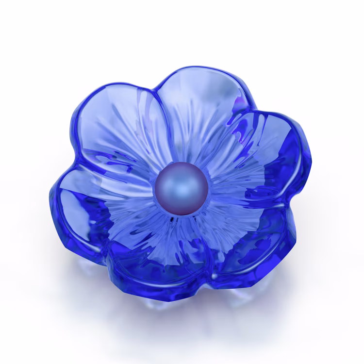 Swarovski SCS Renewal and New Membership