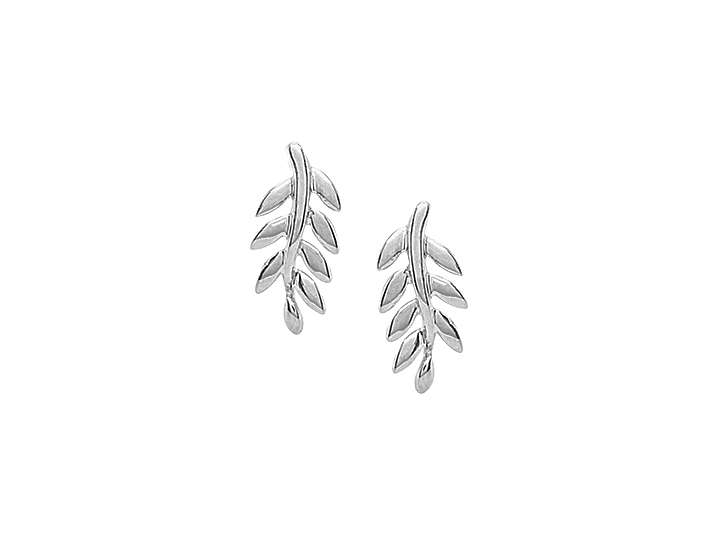 9ct Leaf Stud Earrings