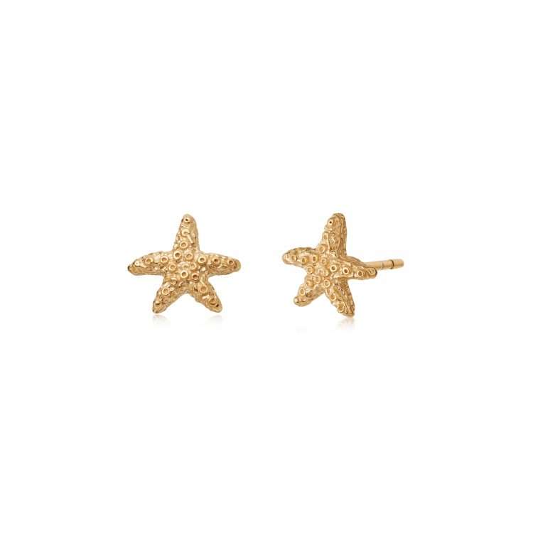 Daisy Starfish Stud Earrings, Gold Plated
