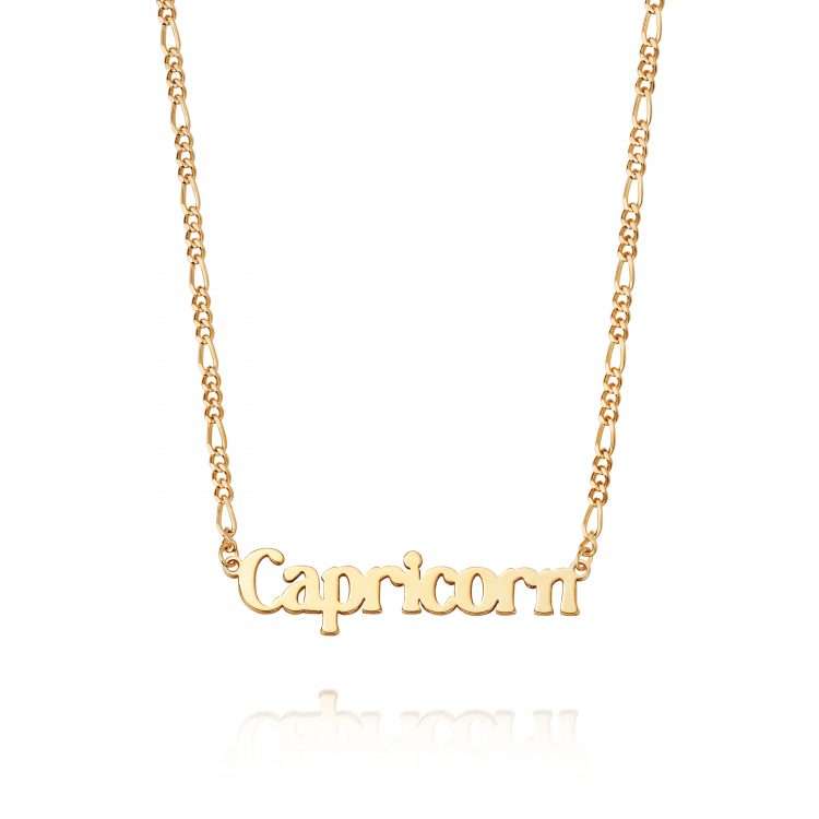 Daisy Zodiac Capricorn Necklace, Gold Plated
